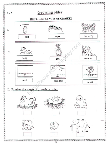 CBSE Class 2 EVS Growing Older Worksheet